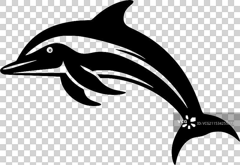 海豚 - 高质量标志 - 适合T恤设计图片素材