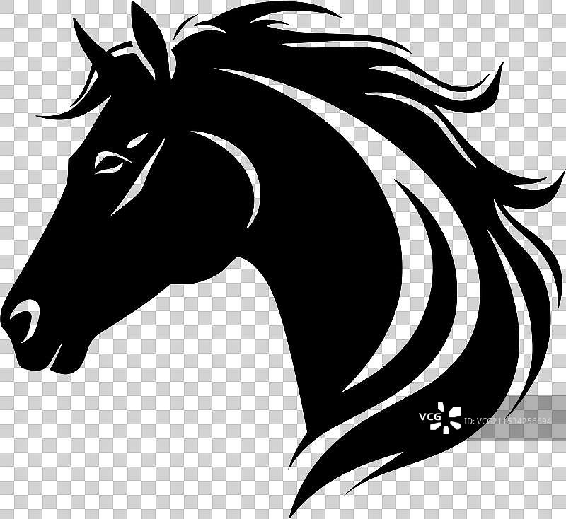 黑白马图片素材