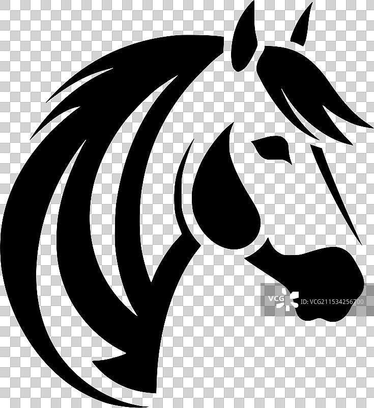 黑白马图片素材