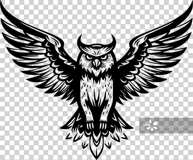 猫头鹰 - 黑白孤立图标图片素材