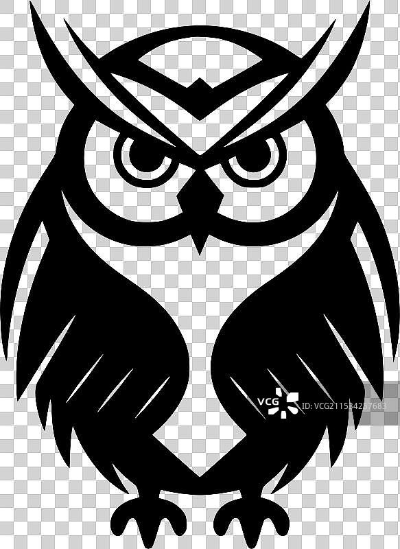 黑白猫头鹰图片素材