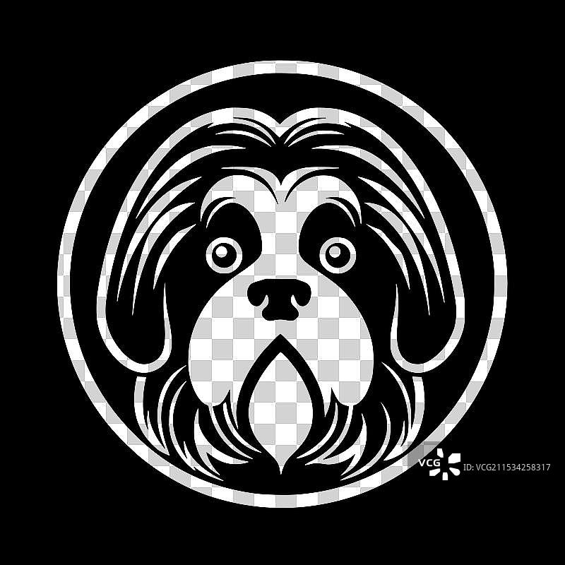 黑白色的狮子狗图片素材