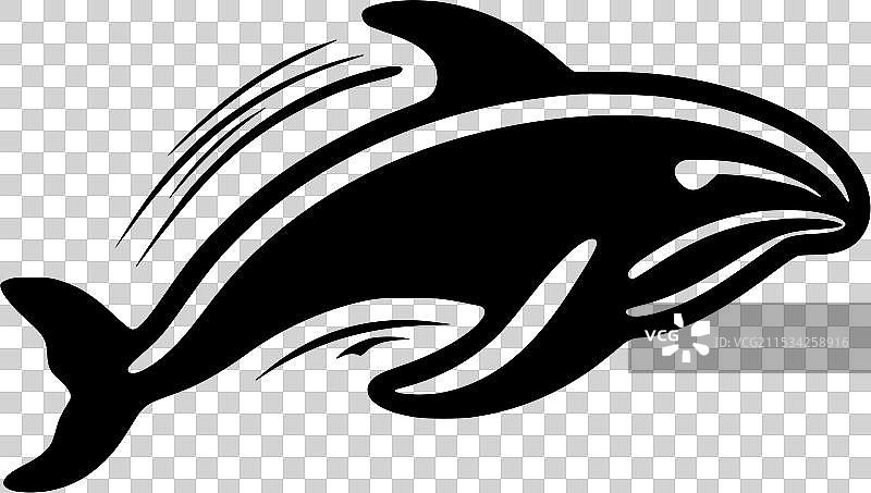 鲸鱼 - 黑白色图片素材