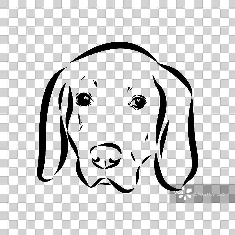 独立在白色背景上的灌篮狗素描肖像图片素材