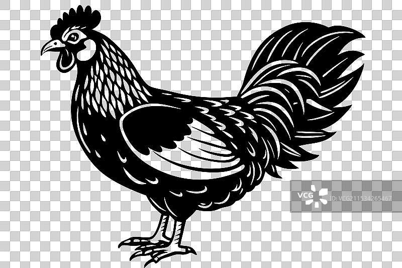 小型鸡轮廓图片素材