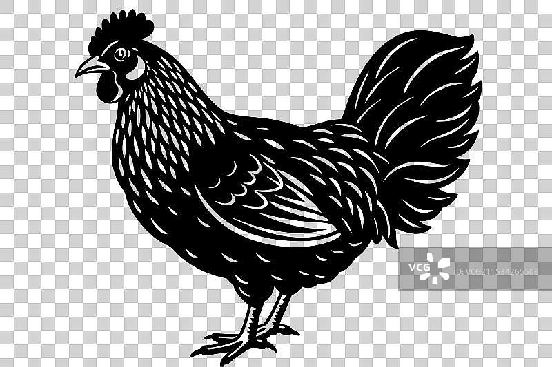 小型鸡轮廓图片素材