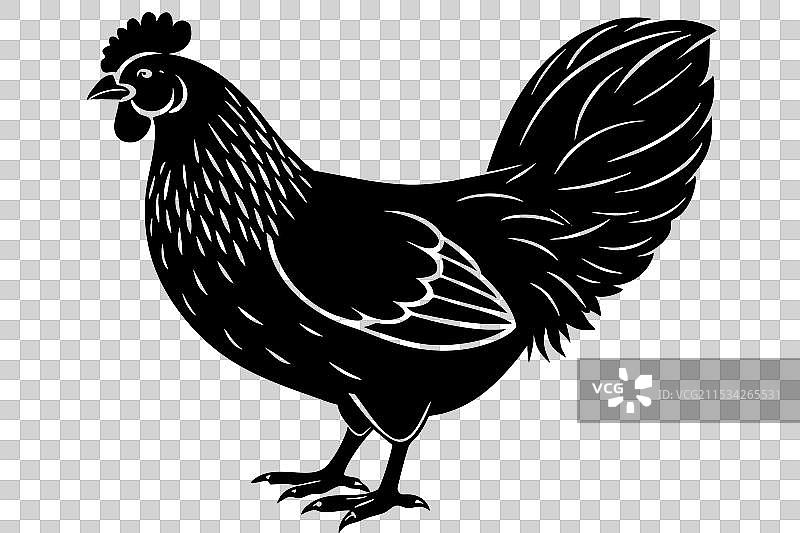 小型鸡轮廓图片素材