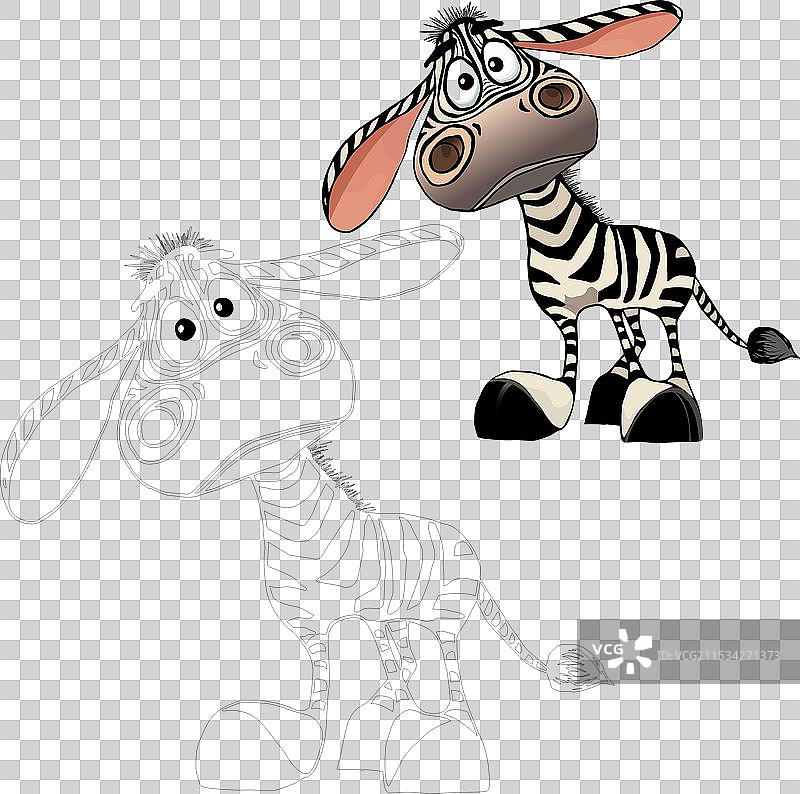 黑白轮廓的斑马涂色页图片素材