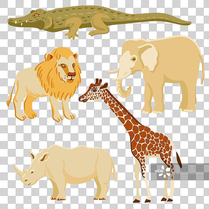 非洲动物的绘画套件图片素材