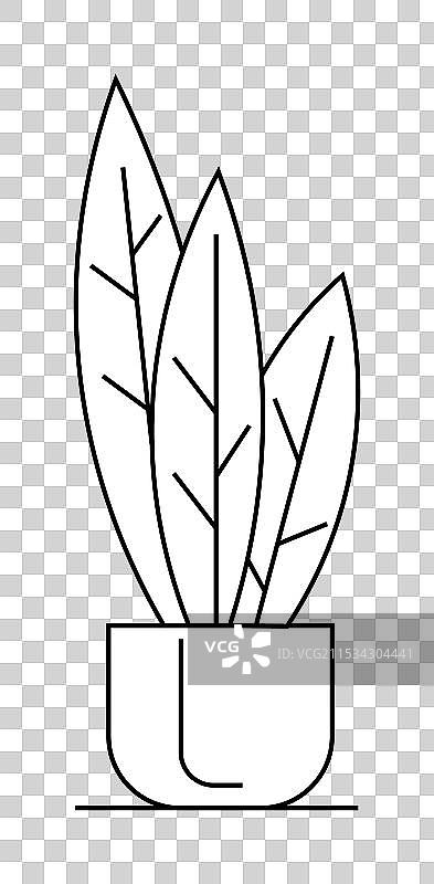 简约花盆中的简单线条艺术室内植物图片素材