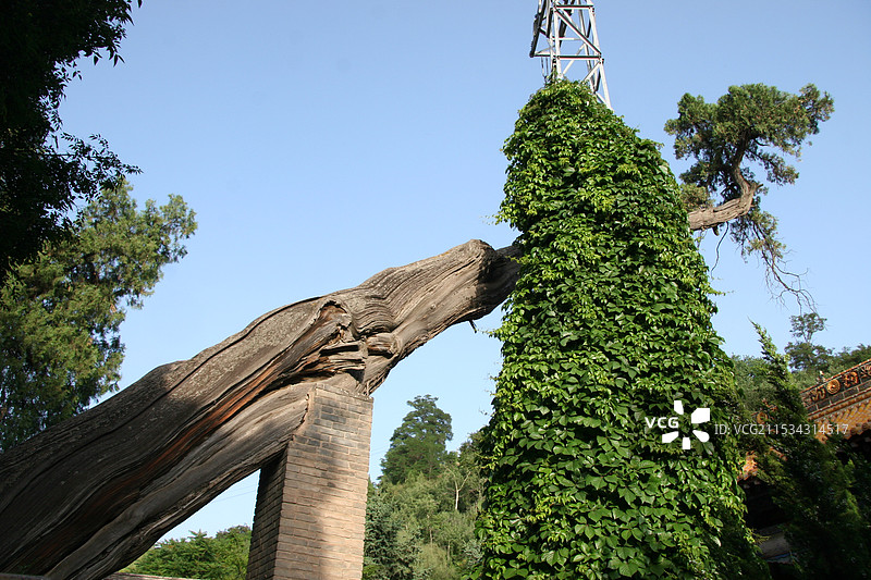 南郭寺图片素材
