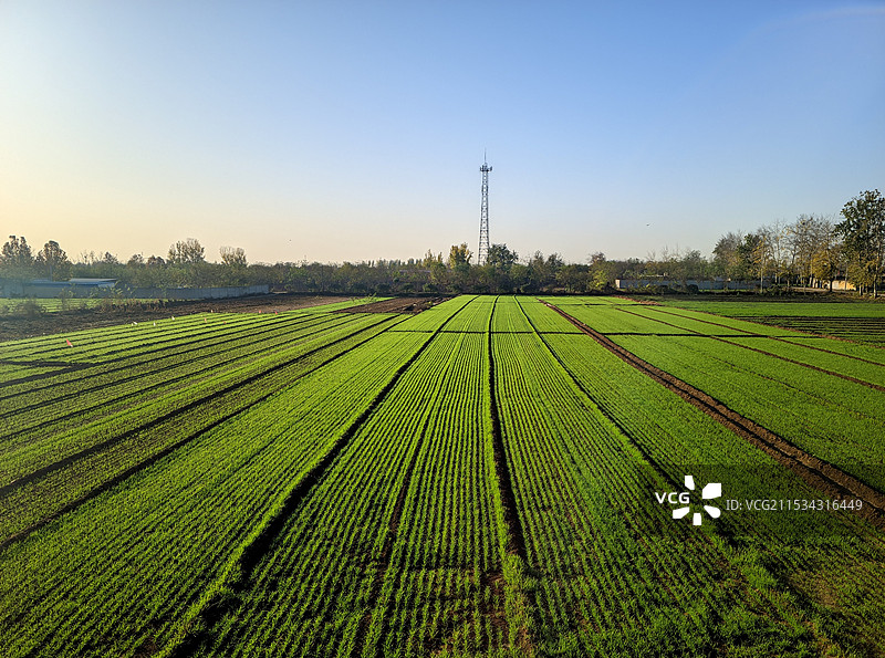 CRSG_20241117_084421077图片素材