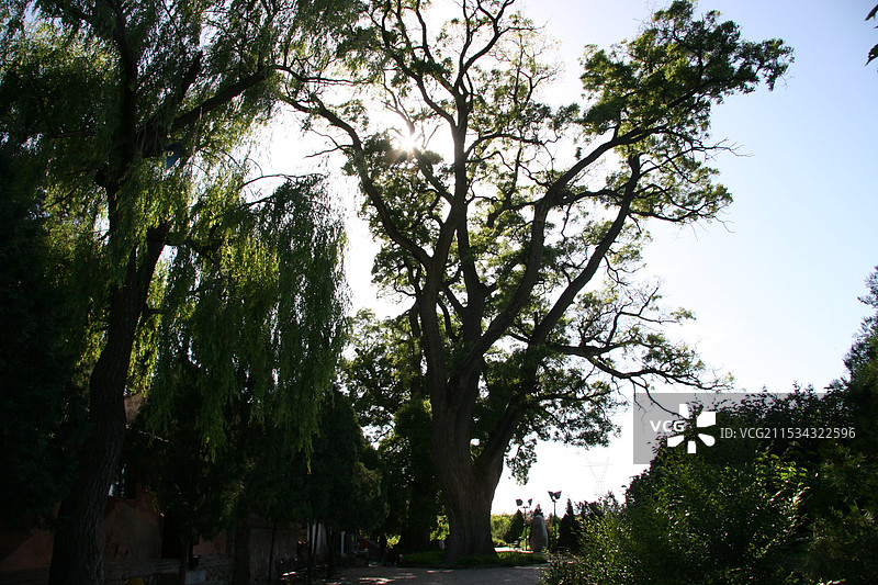 南郭寺图片素材