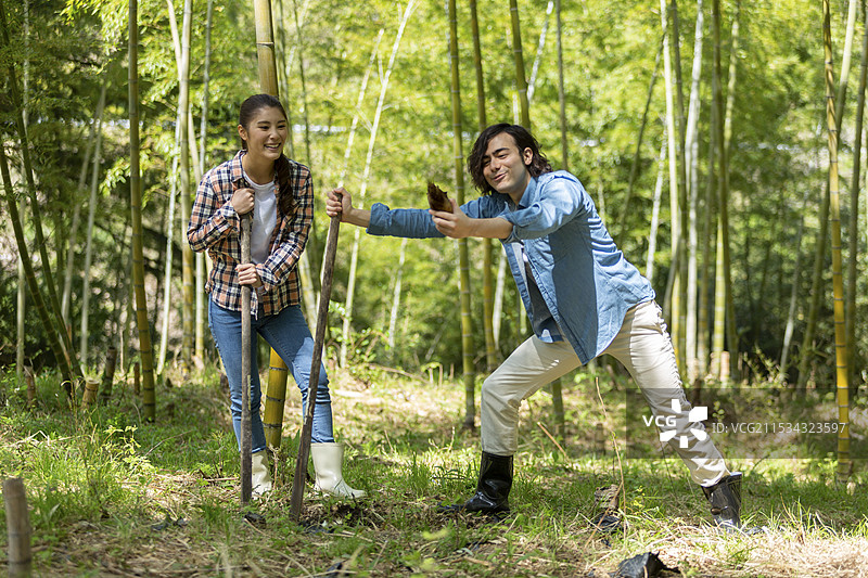 一对情侣在挖掘竹笋图片素材