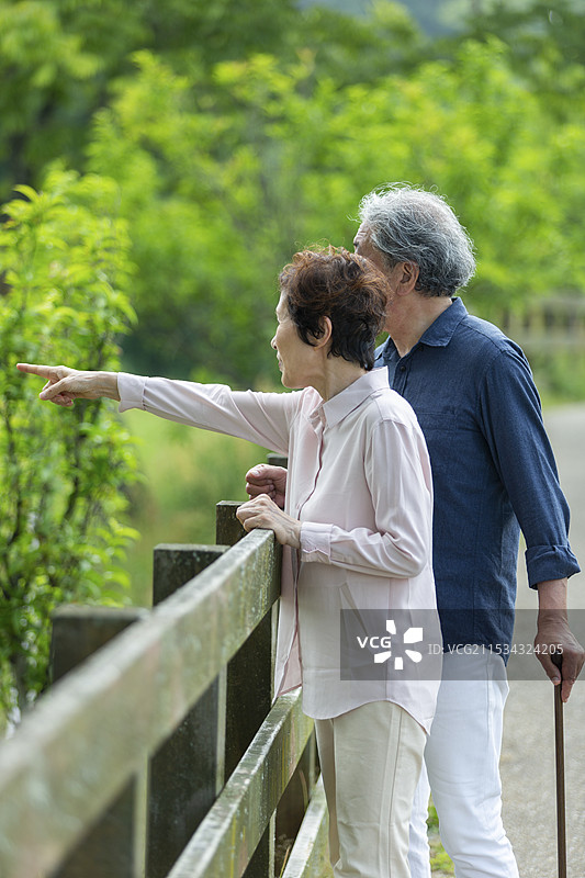 老年夫妇在公园散步图片素材