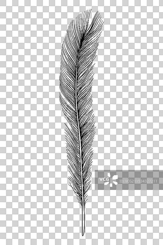 羽毛图标 黑色剪影 手绘草图图片素材