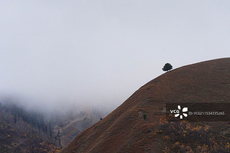 康定新都桥萧瑟的秋季风光图片素材