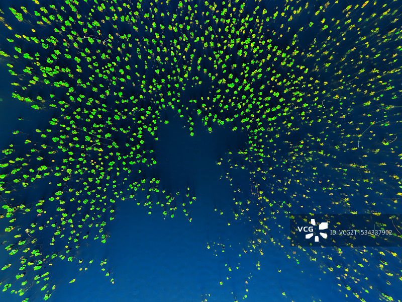 航拍妫河—水草精灵图片素材