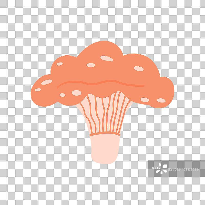 鲜艳的橙色蘑菇与一个图片素材