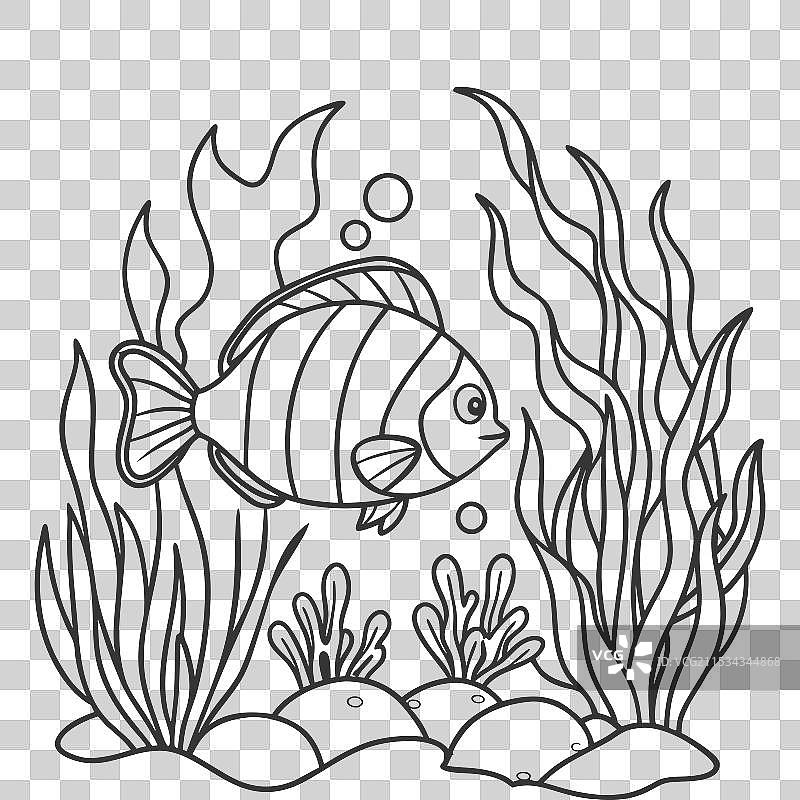 鱼的轮廓供涂色使用的页面图片素材