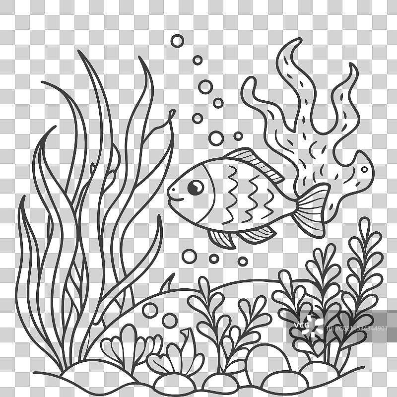 鱼的轮廓供涂色使用的页面图片素材