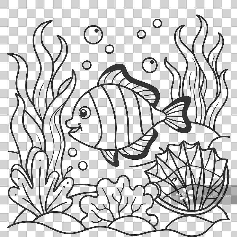 鱼的轮廓，供涂色使用图片素材