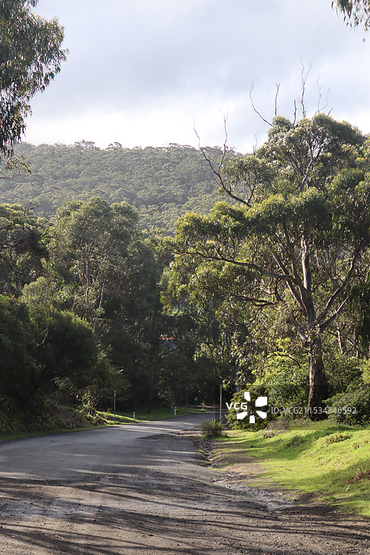 大洋路十二门徒岩图片素材