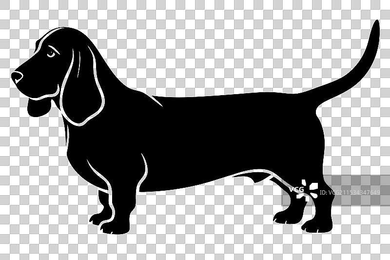 巴塞特猎犬剪影图片素材
