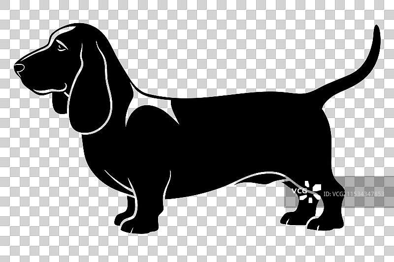 巴塞特猎犬剪影图片素材
