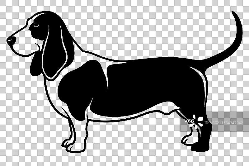 巴塞特猎犬剪影图片素材