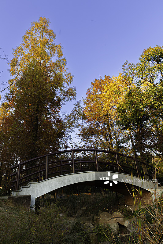 武汉东湖吹笛景区小桥秋色图片素材