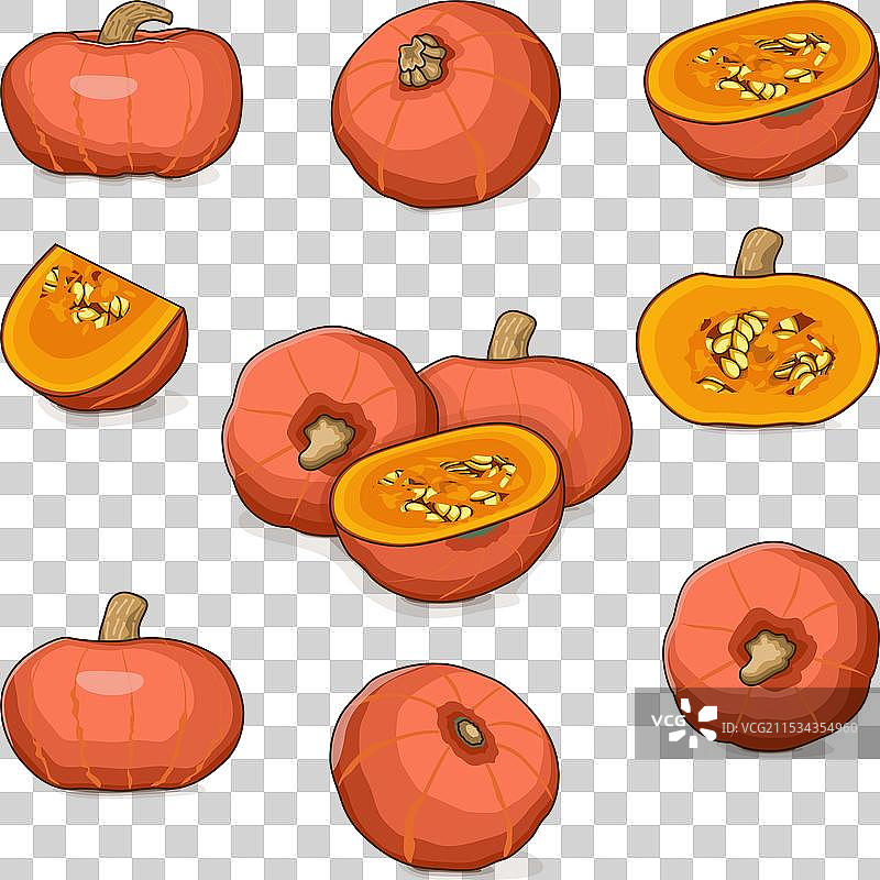 阳光南瓜的剪贴画集图片素材