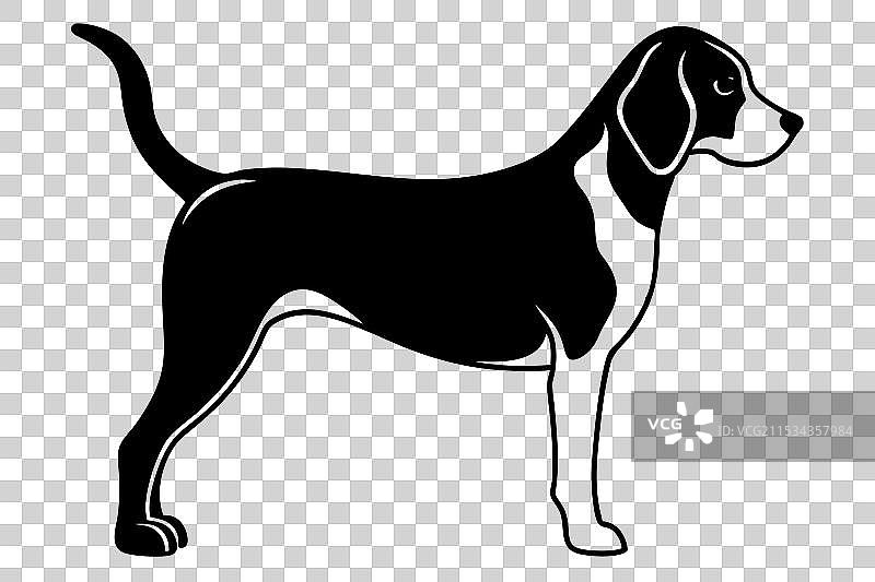 比格犬剪影图片素材