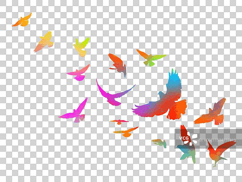 抽象的飞翔彩色鸟类手绘图图片素材