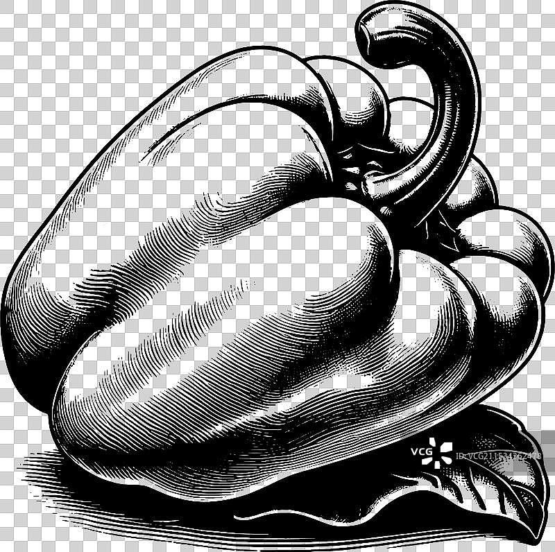 黑白色的带叶子甜椒图片素材