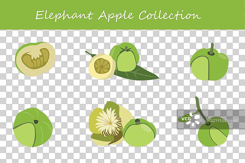 不同姿势的大象苹果系列收藏图片素材
