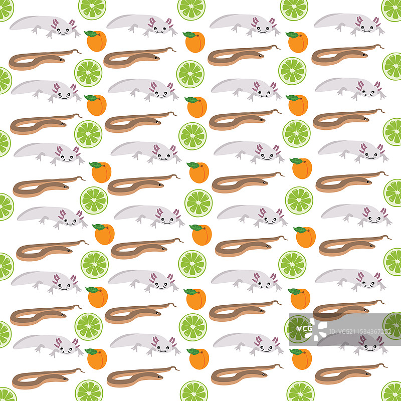 以水果为图案背景的虫子和墨西哥钝口螈图片素材