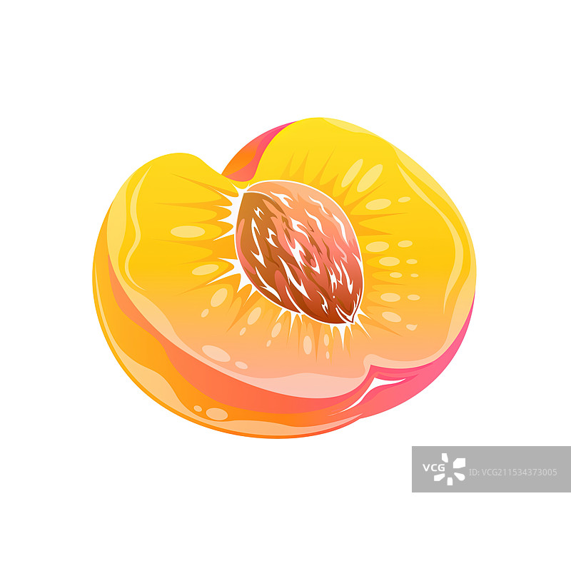 桃子纵切面卡通矢量插画图片素材