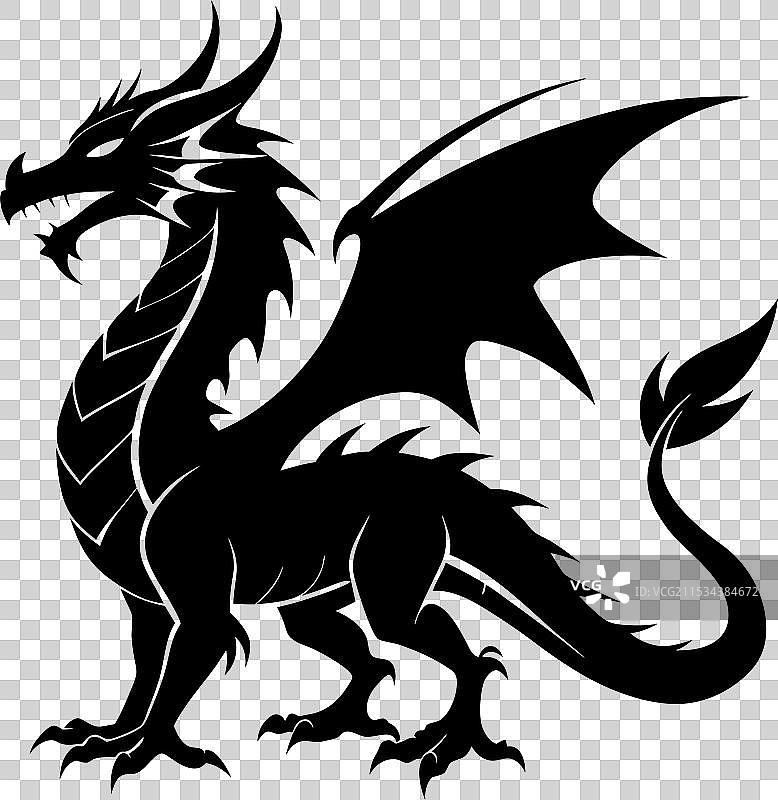 雄伟的站立龙，展翅高飞图片素材