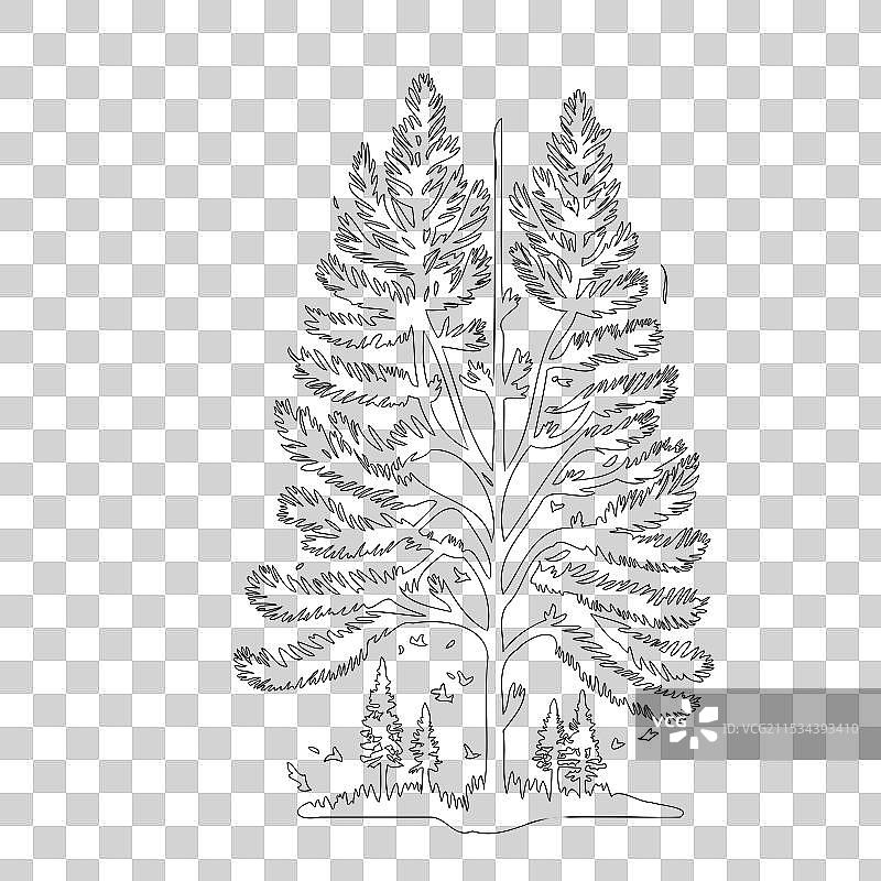 松树自然轮廓素描图片素材