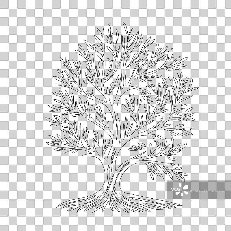 柳树自然轮廓素描图片素材