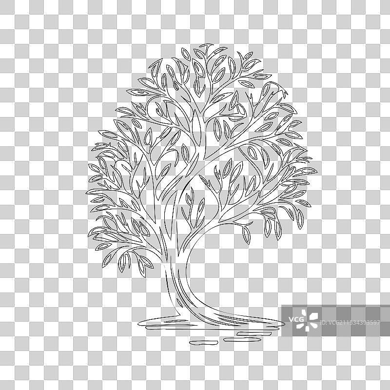 柳树自然轮廓素描图片素材