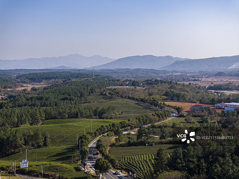航拍宣城市宣州区杨柳镇茶园风光图片素材