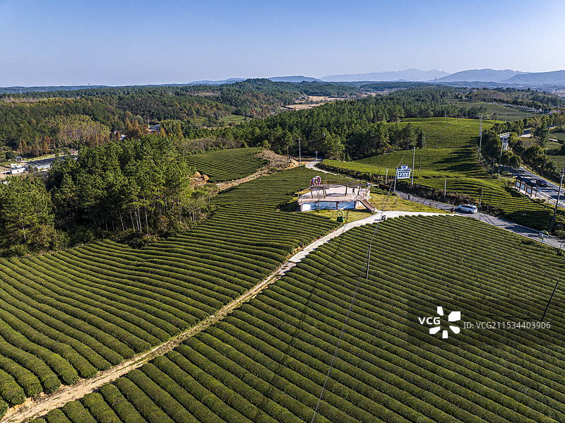 航拍宣城市宣州区杨柳镇茶园风光图片素材