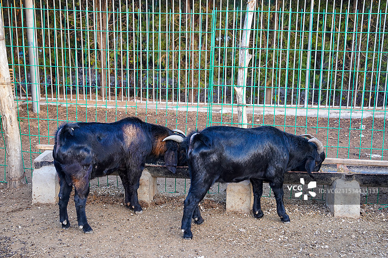 日照浮来青旅游度假区图片素材