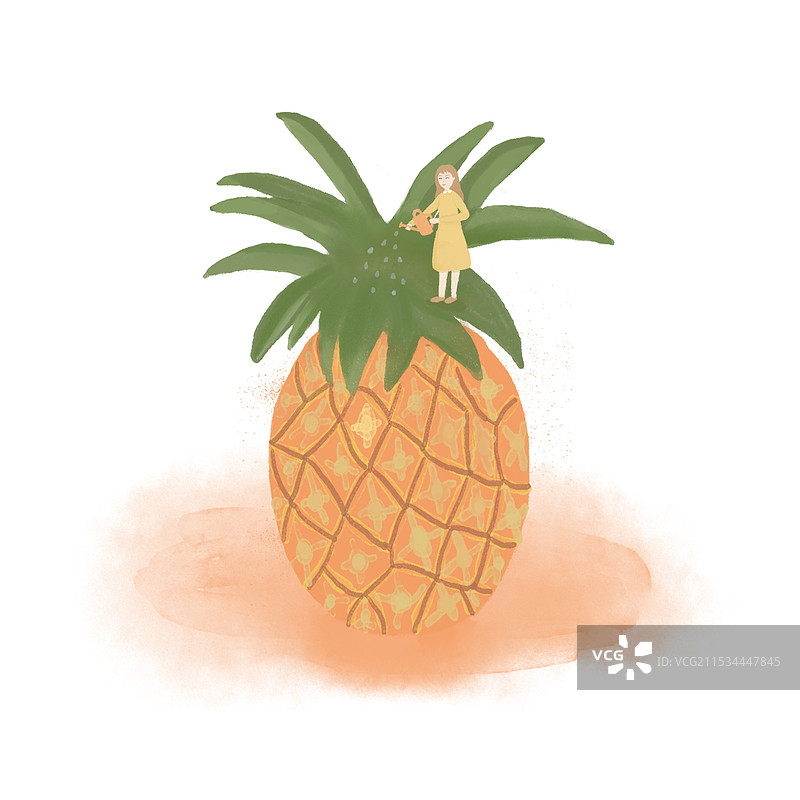 给菠萝浇水的女孩图片素材