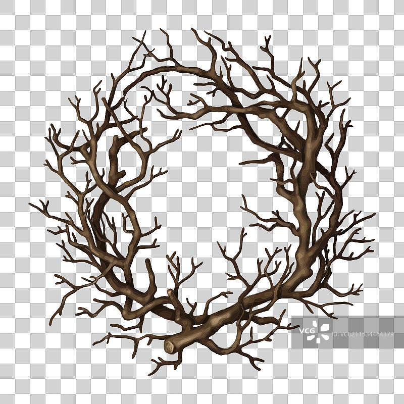 手绘的干枝木质圆形花环图片素材