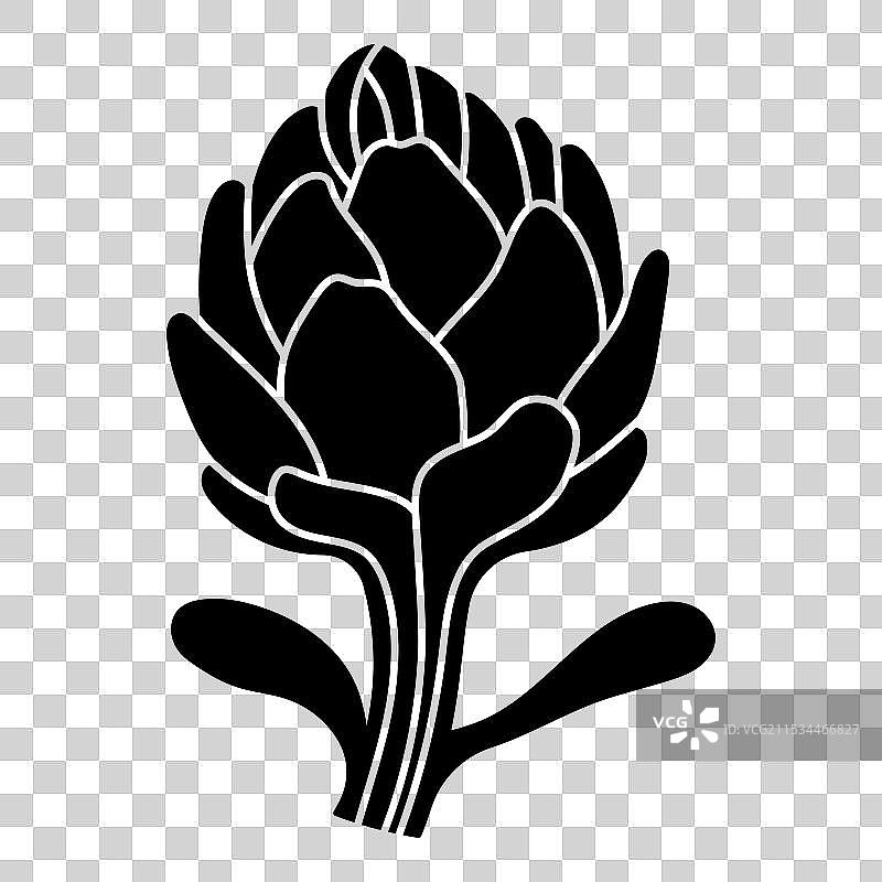 朝鲜蓟剪影模板图片素材