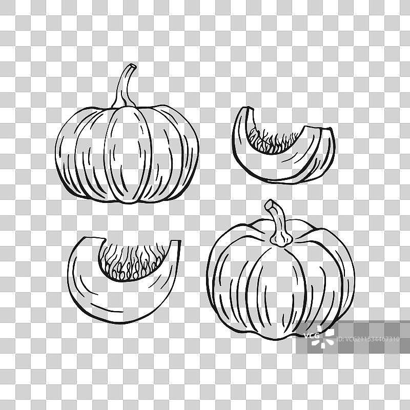 手绘南瓜系列图片素材