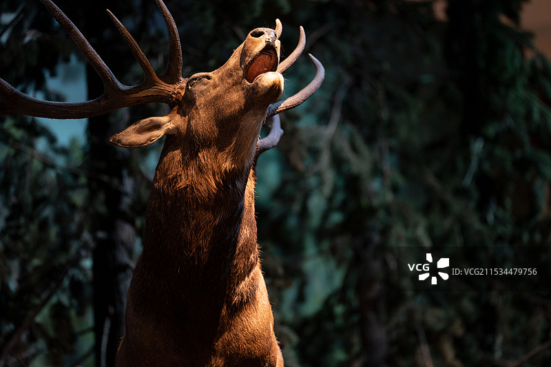 国家海洋博物馆图片素材